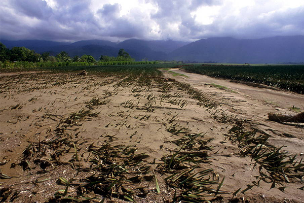 O surgimento das mudanças climáticas na América Latina e no Caribe: ainda estamos esperando a catástrofe ou agimos?