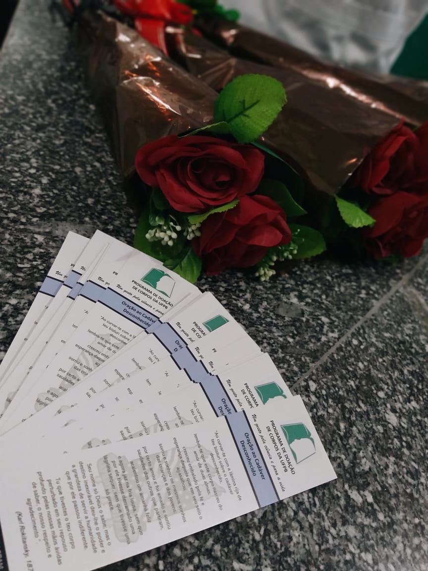 IMG-20190608-WA0062.jpg IMG-20190608-WA0062.jpg