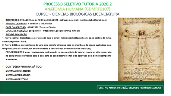 tutoria 2.jpg