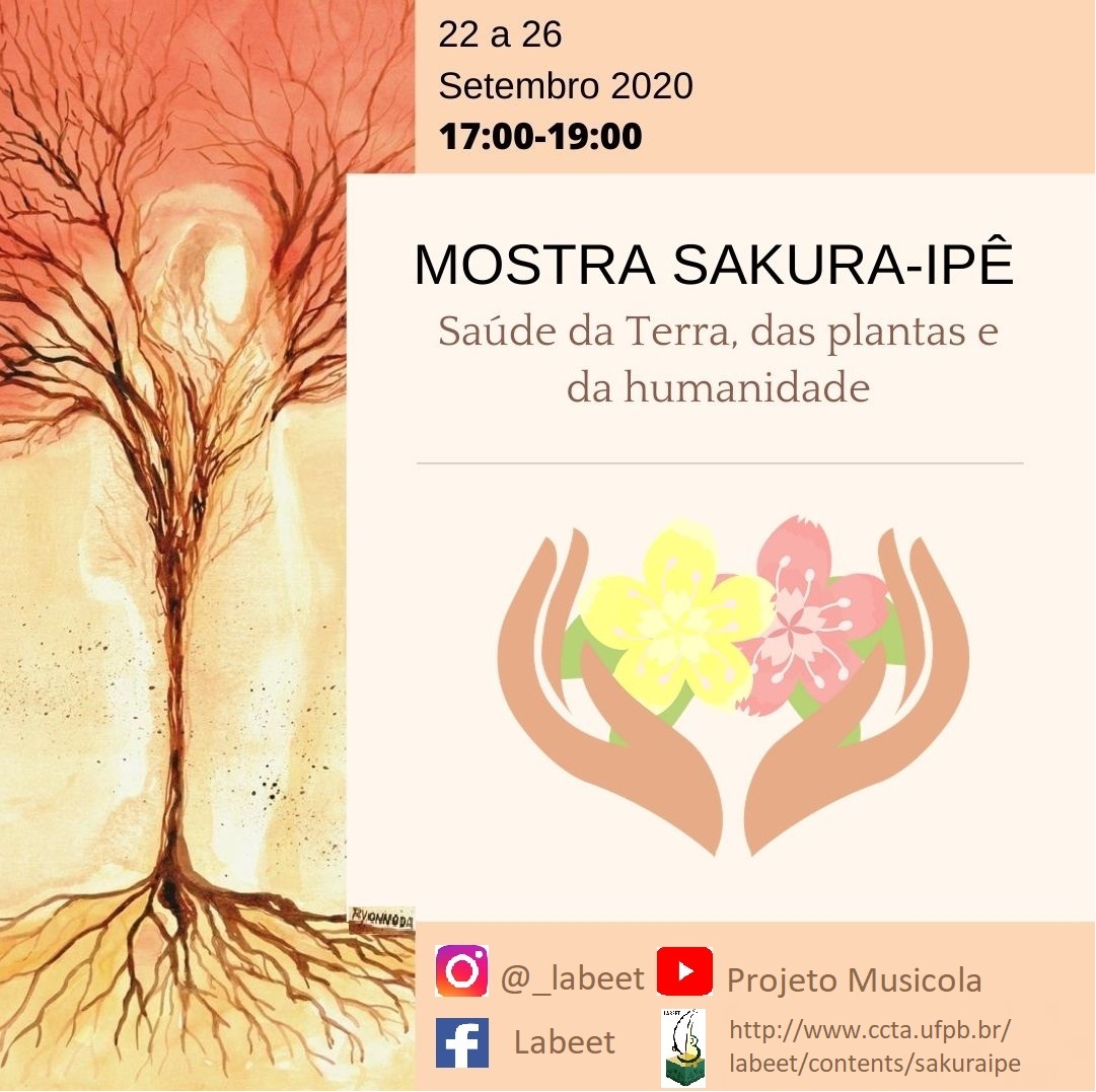 Cartaz Sakura Ipê Cartaz Sakura Ipê