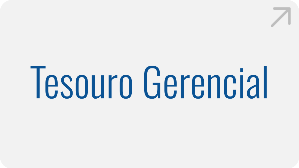 tesouro-gerencial.png tesouro-gerencial.png
