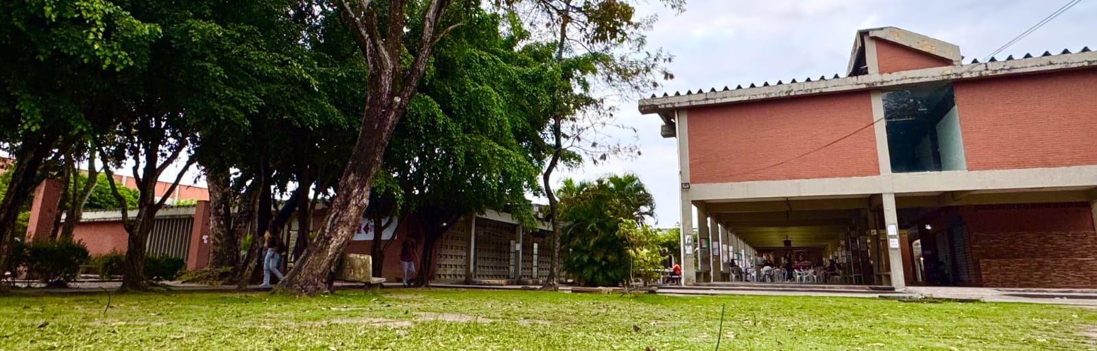 Imagem decorativa do site